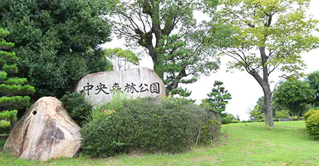 中央森林公園